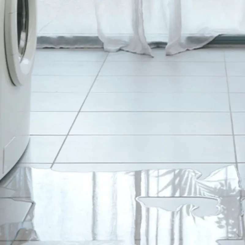 Appliance Leak Cleanup in Tatum, TX