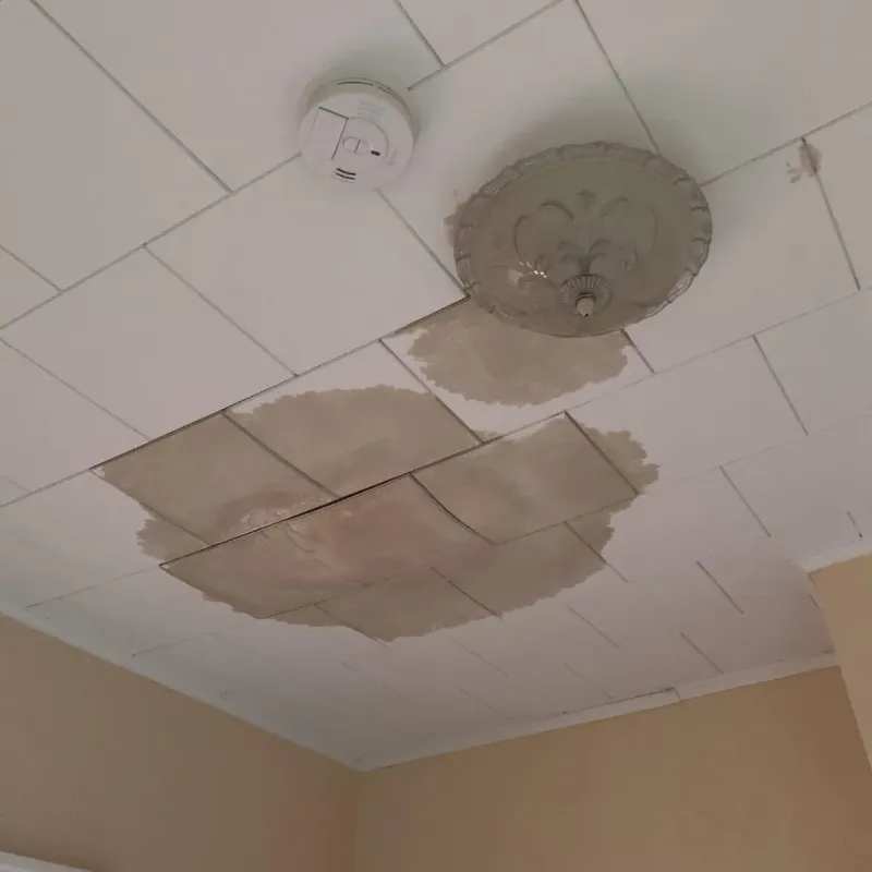 Ceiling Water Damage Repair in Tatum, TX