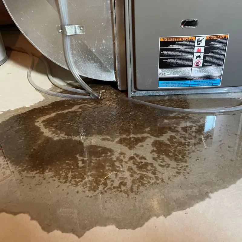 Pipe Burst and Leak Restoration in Tatum, TX