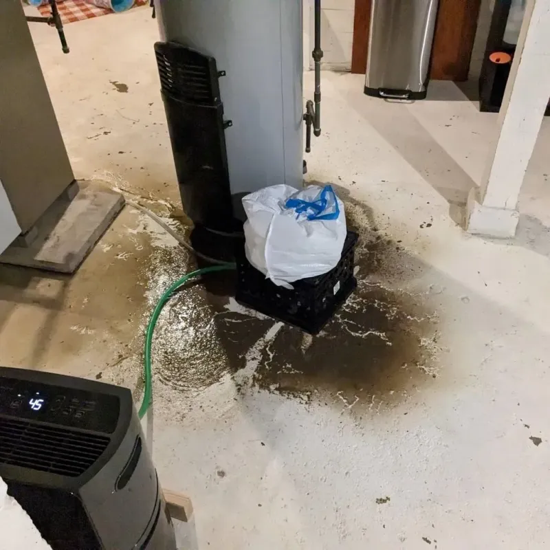 Sewage Backup Cleanup Service in Tatum, TX